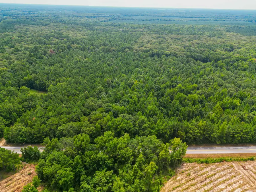 Highway 278, Monticello, AR 71655 - Image #2