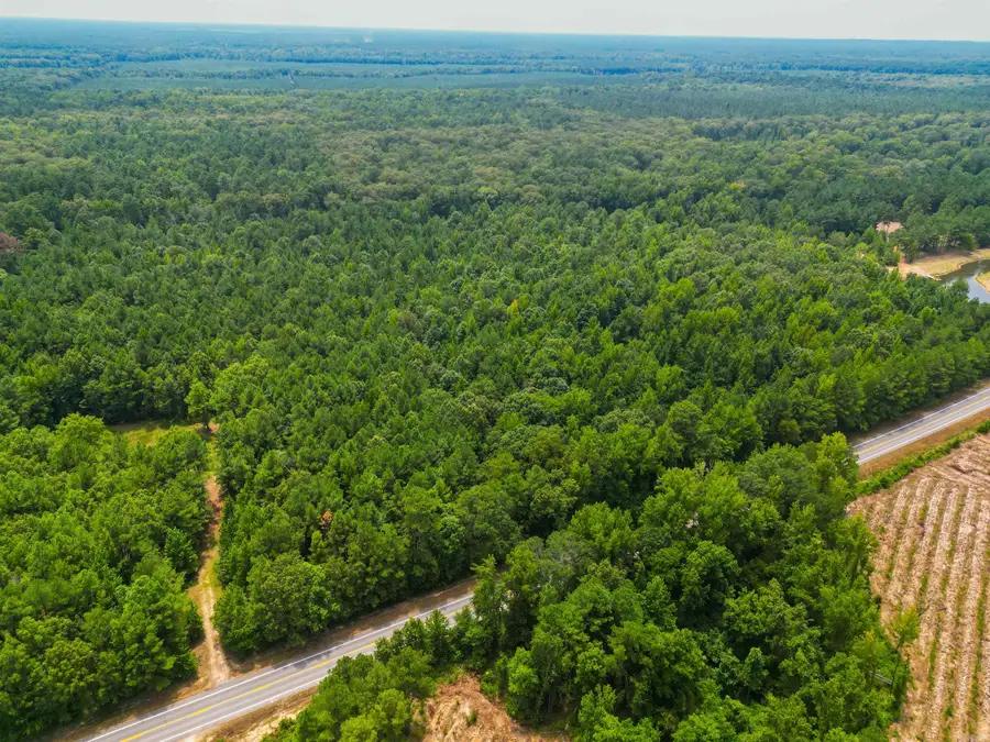 Highway 278, Monticello, AR 71655 - Image #3