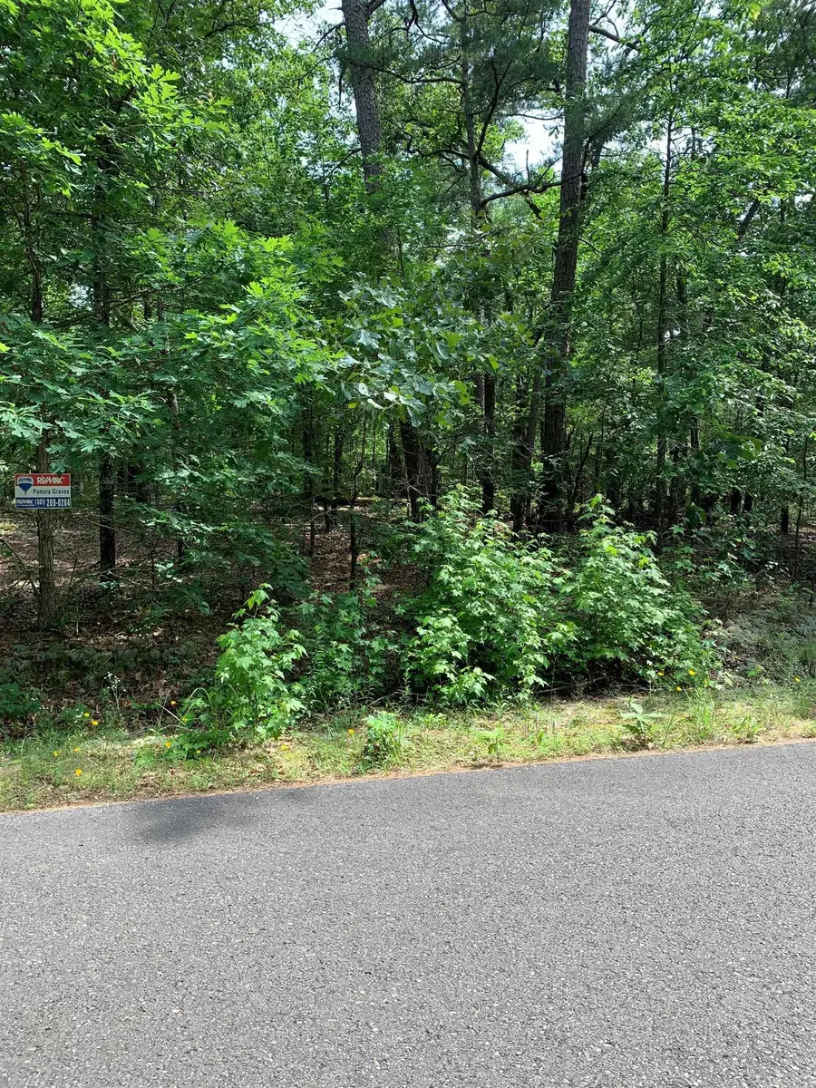 30 Alava Circle, Hot Springs Village, AR 71909 - Image #2