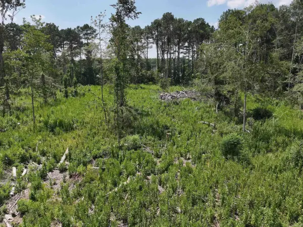 TBD Kadoha Road, Murfreesboro, AR 71958