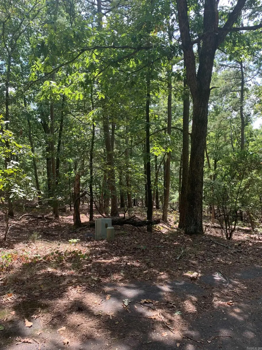 8 La Robla Ln, Hot Springs Village, AR 71909 - Image #3