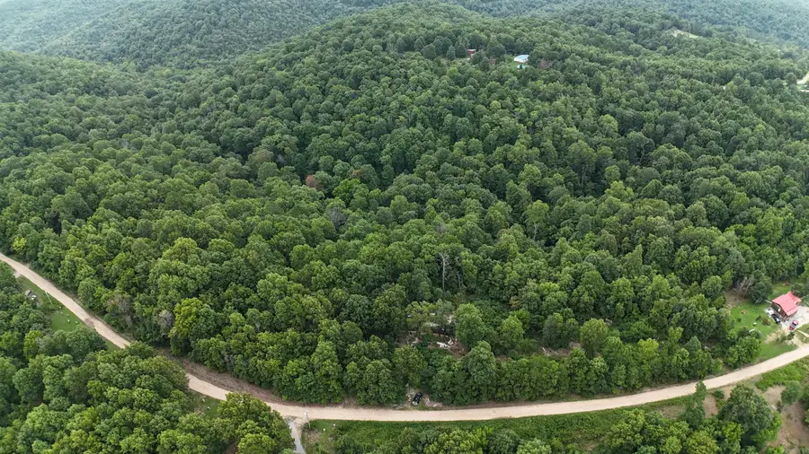 1267 Brushy Fork, Yellville, AR 72687 - #2