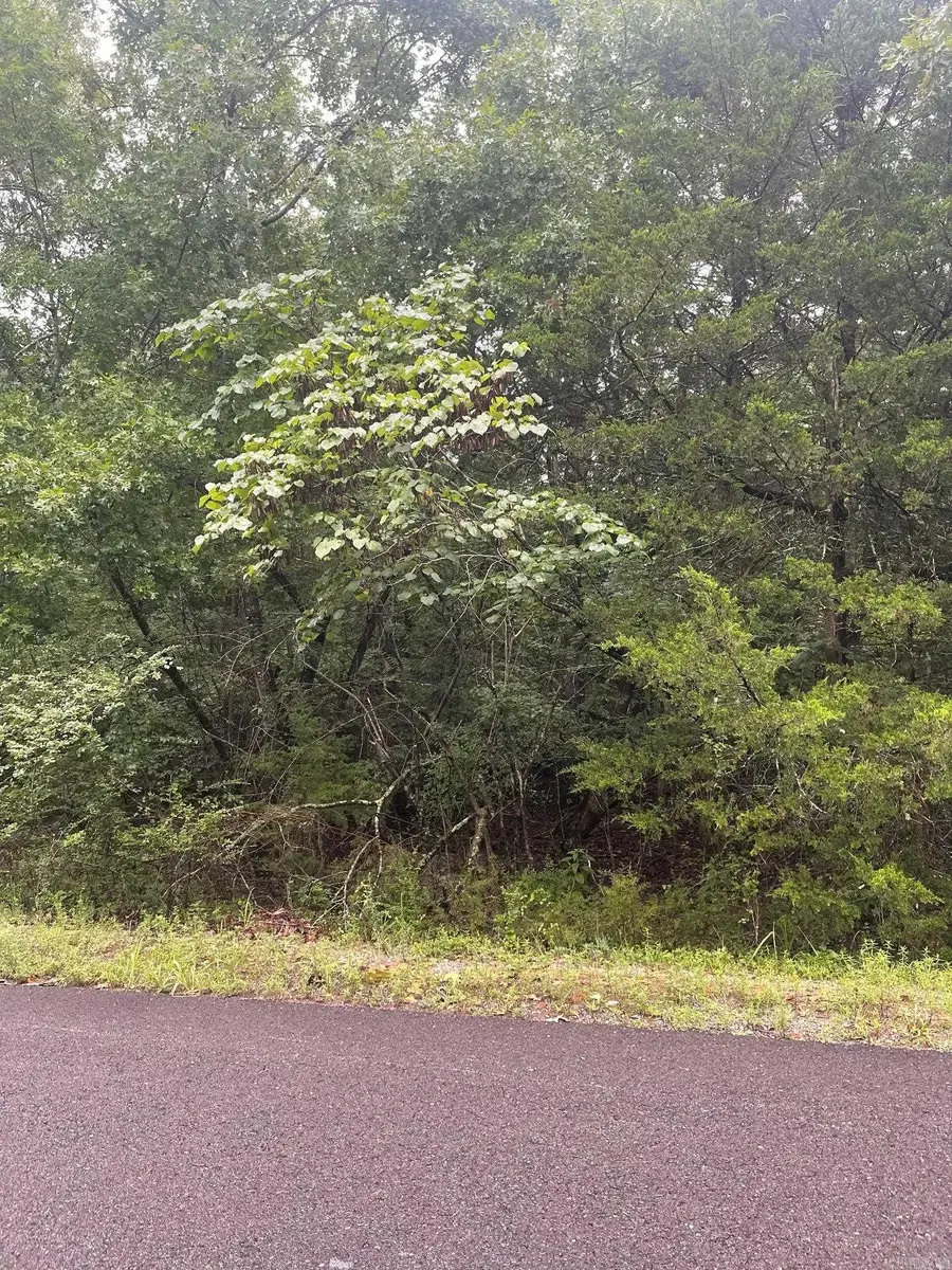 11 Brilliante Lane, Hot Springs Village, AR 71909 - Image #2