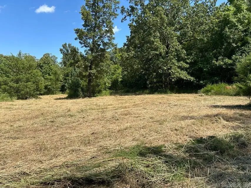 700 Rocky Road, Thida, AR 72165 - Image #3