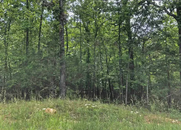 Okmulgee Drive, Cherokee Village, AR 72529