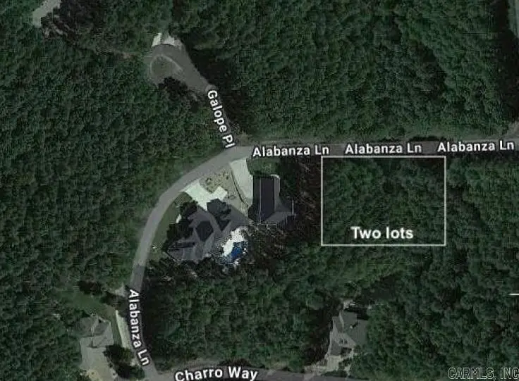 26 Alabanza Lane, Hot Springs Village, AR 71909 - Image #3