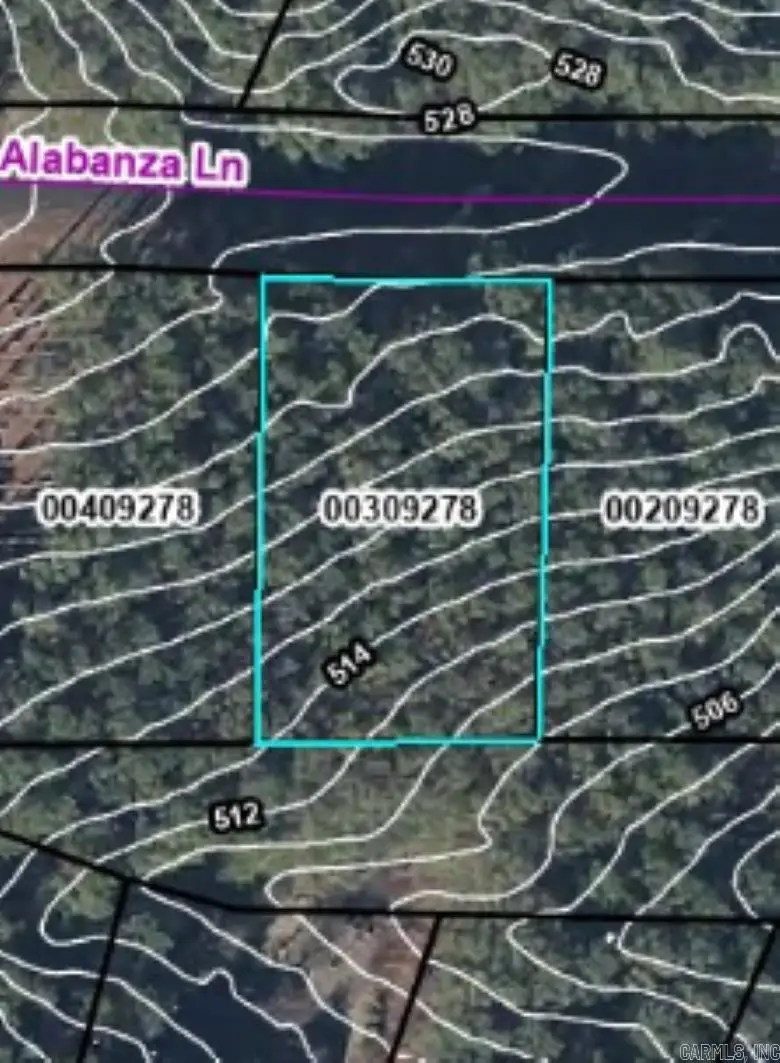 28 Alabanza Lane, Hot Springs Village, AR 71909 - Image #2