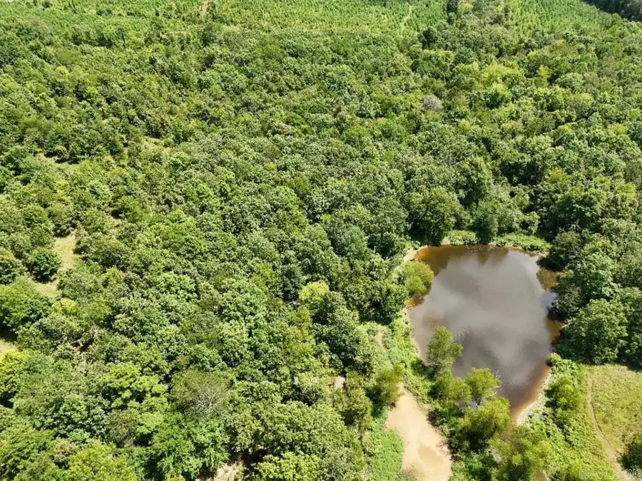 0 Polk Road 407, Cove, AR 71937 - Image #3