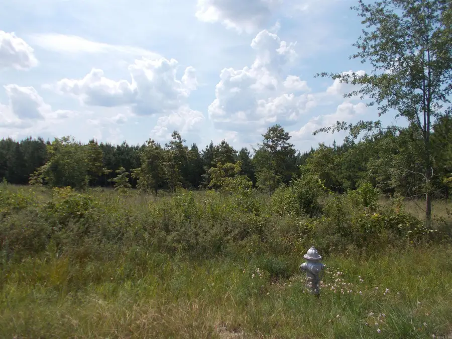 1705 Grant 53, Simpson, AR 72065 - Image #2