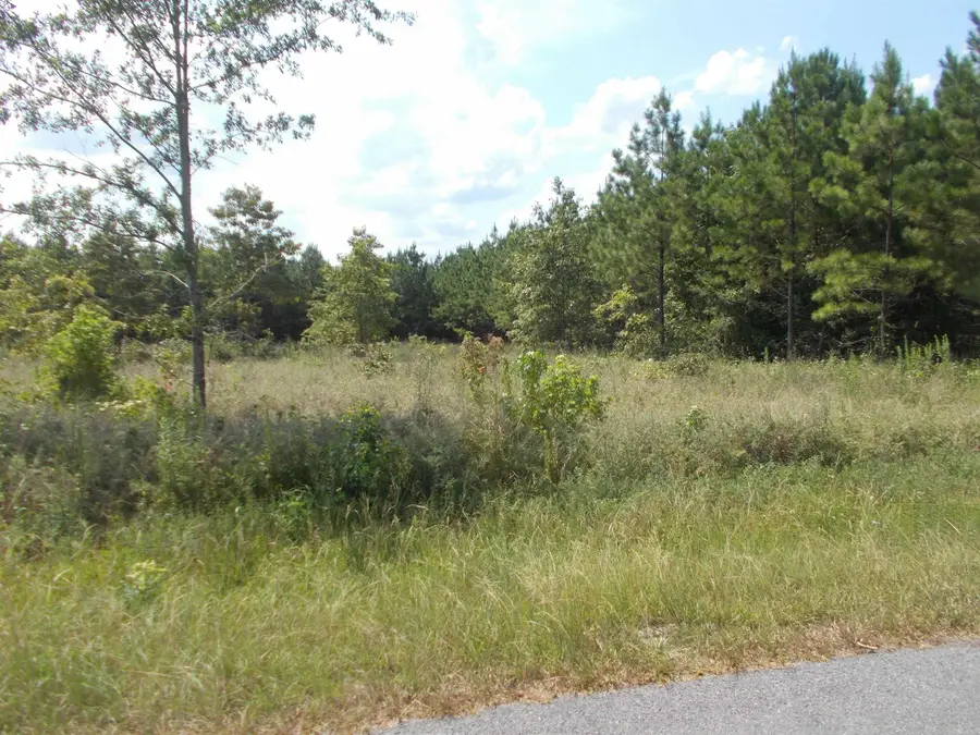 1705 Grant 53, Simpson, AR 72065 - Image #3