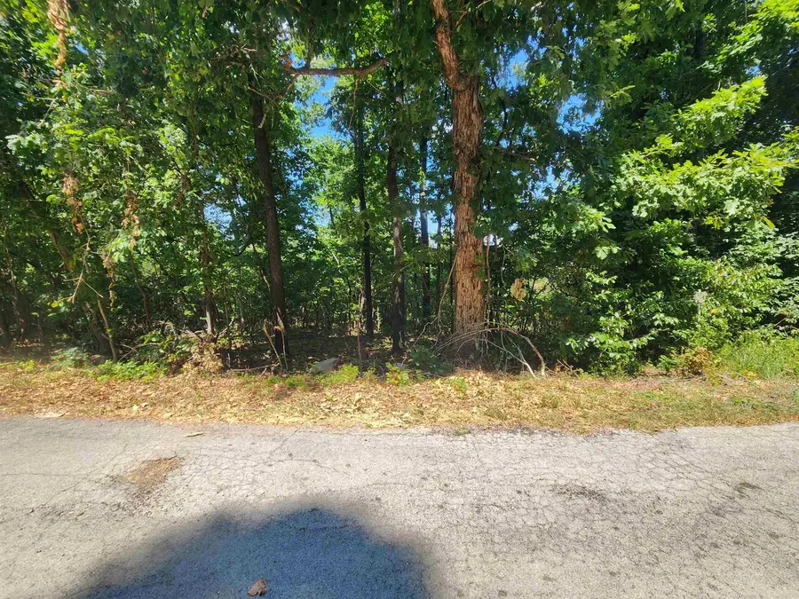 L28, B6 Zia Trace, Cherokee Village, AR 72529 - Image #2