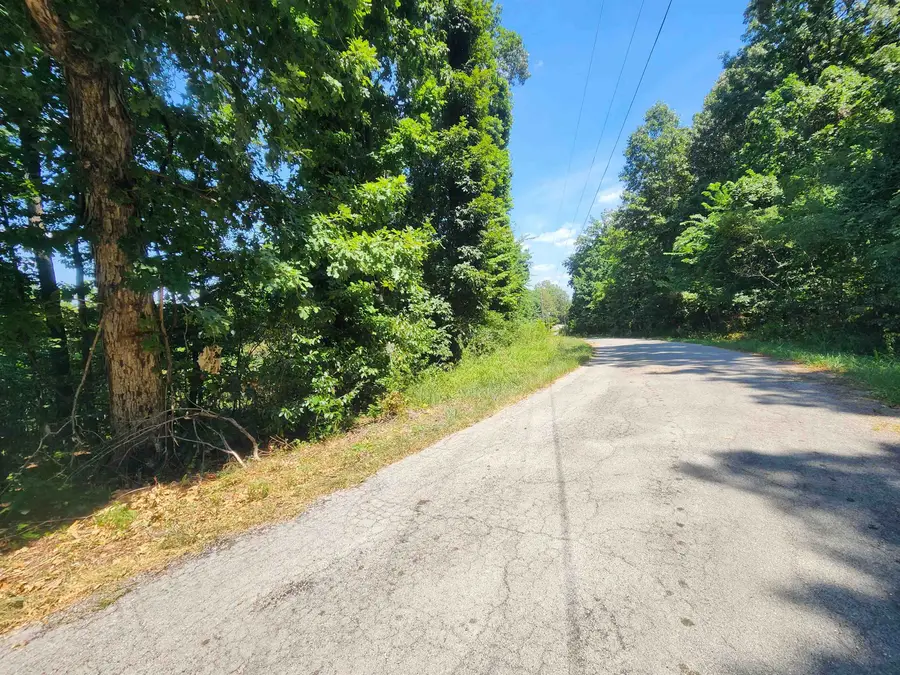 L28, B6 Zia Trace, Cherokee Village, AR 72529 - Image #3