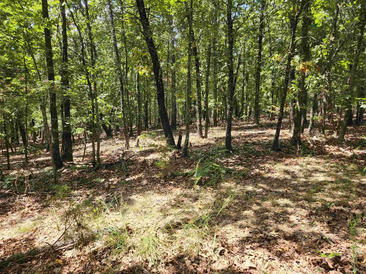 L101-103, B-3 Lightning Circle, Highland, AR 72542 - Image #1