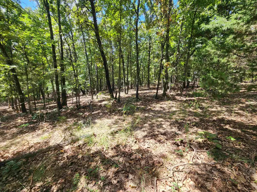 L101-103, B-3 Lightning Circle, Highland, AR 72542 - Image #2