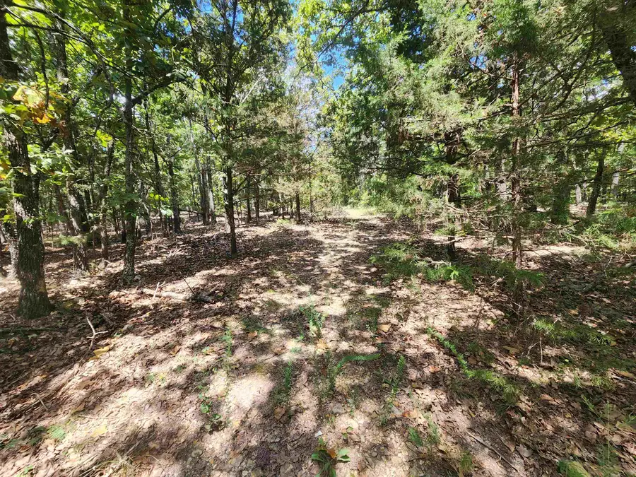 L101-103, B-3 Lightning Circle, Highland, AR 72542 - Image #3