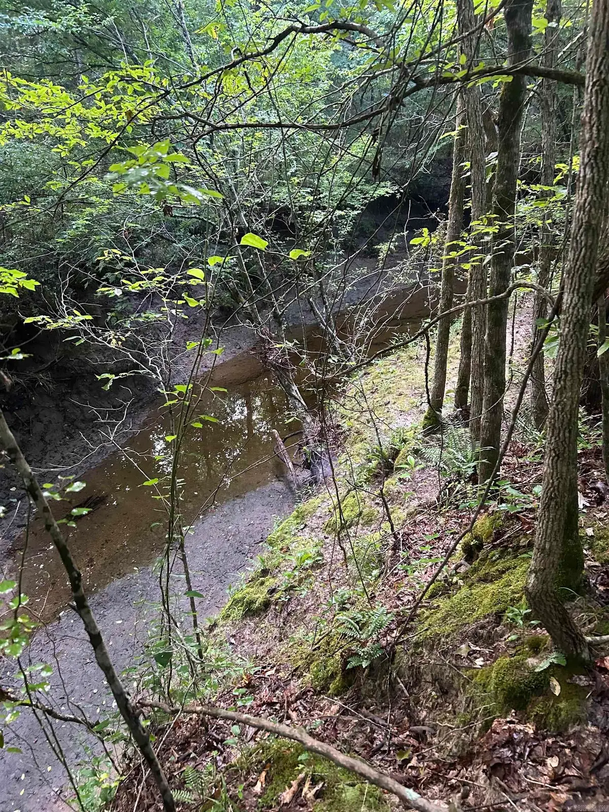 TBD Hempstead 14, Washington, AR 71862 - Image #1