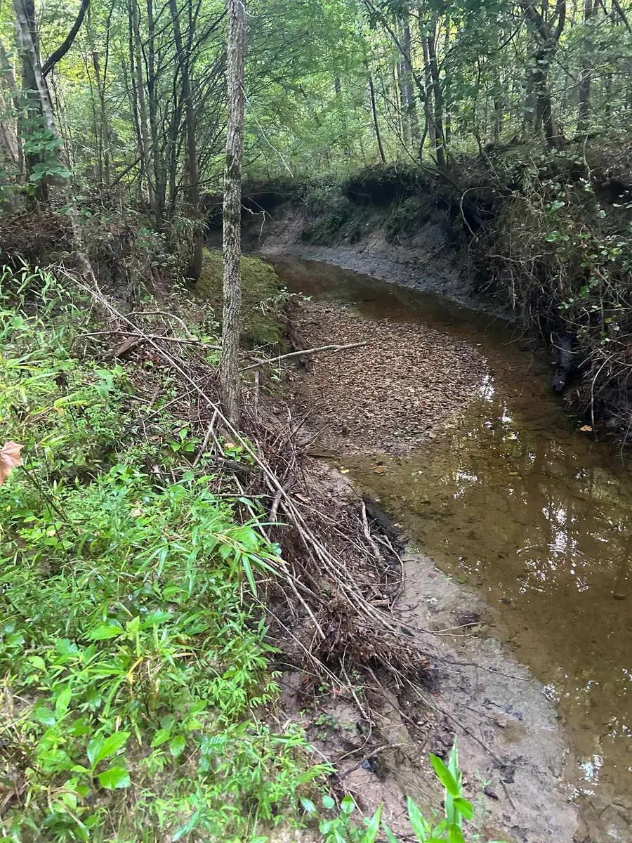 TBD Hempstead 14, Washington, AR 71862 - Image #2