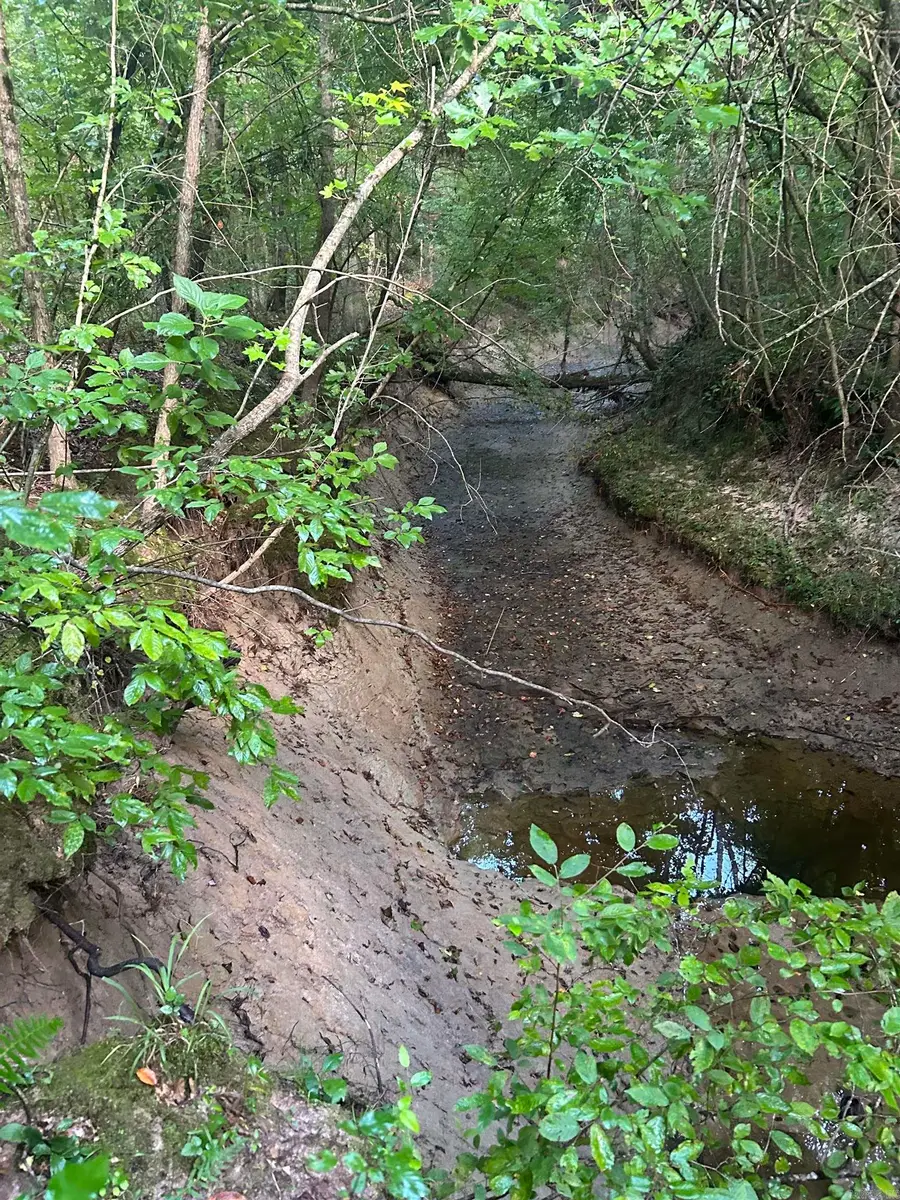 TBD Hempstead 14, Washington, AR 71862 - Image #3