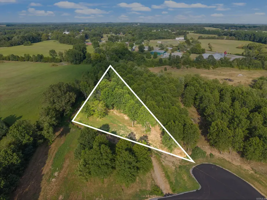 28R River Birch Drive, Guy, AR 72061 - Image #2