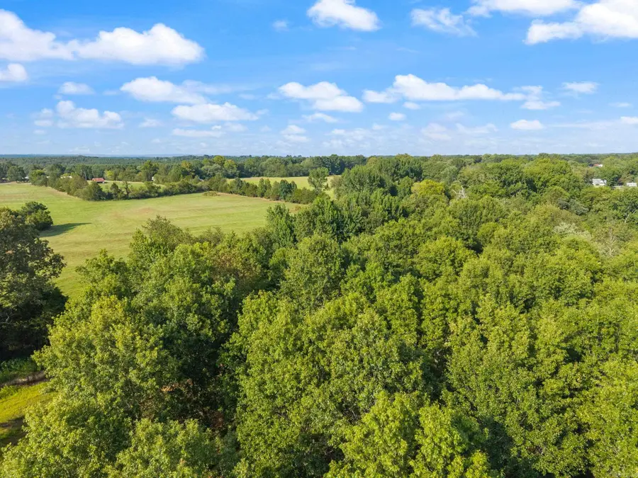 28R River Birch Drive, Guy, AR 72061 - Image #3