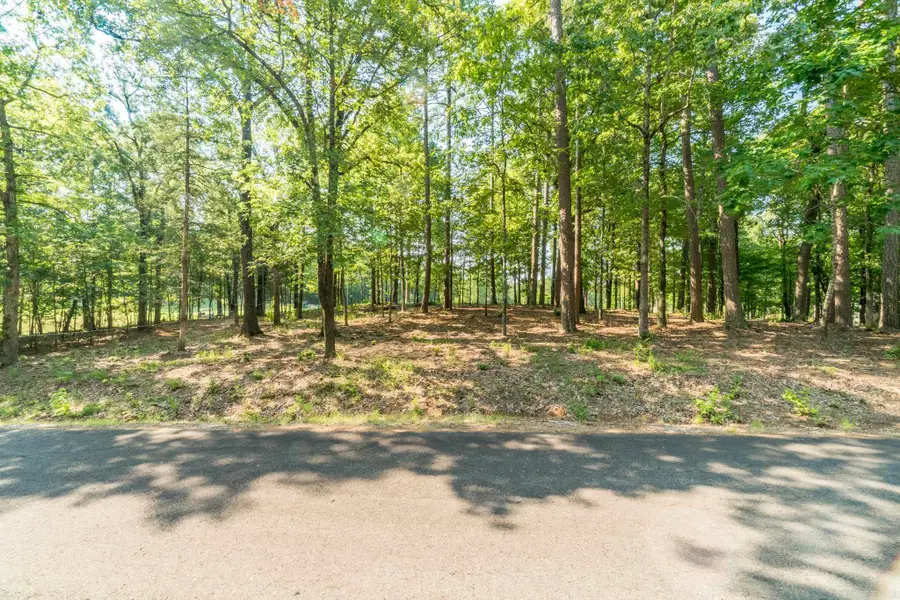 28 Granada Drive, Hot Springs Village, AR 71909 - Image #2