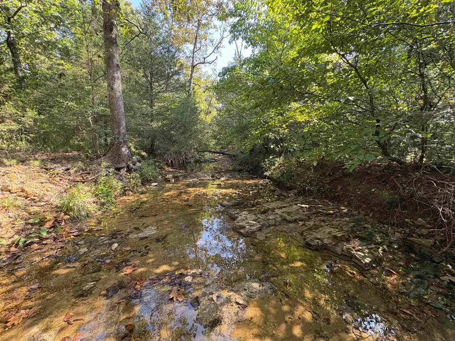 8624 S Highway 63, Mammoth Spring, AR 72554 - Image #2