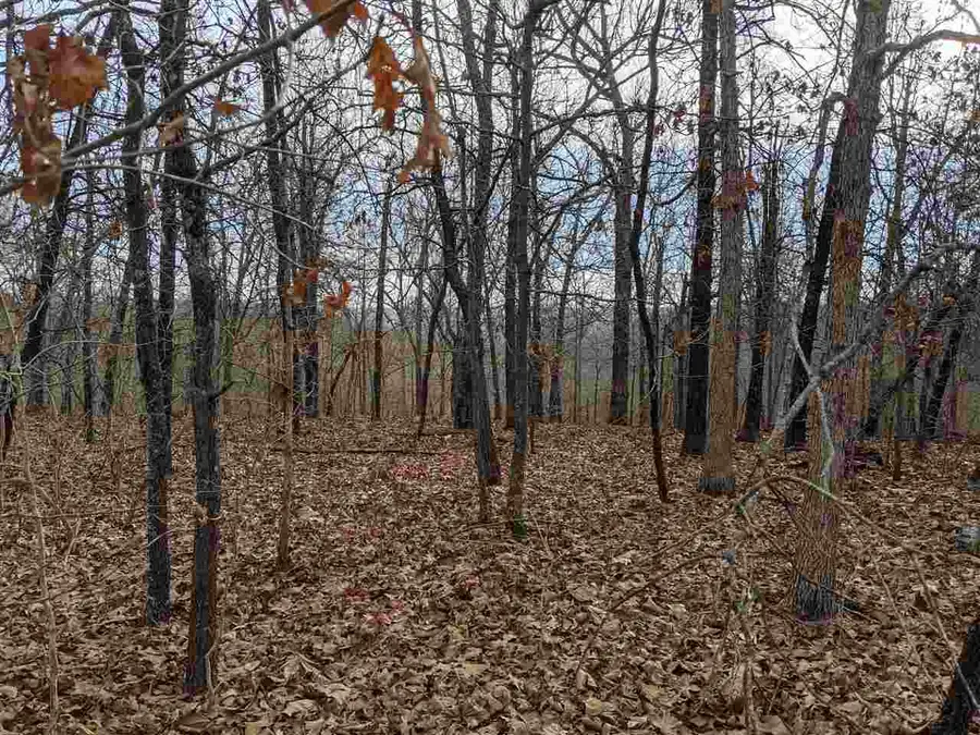 Cherokee Acres Drive, Cherokee Village, AR 72529 - Image #3