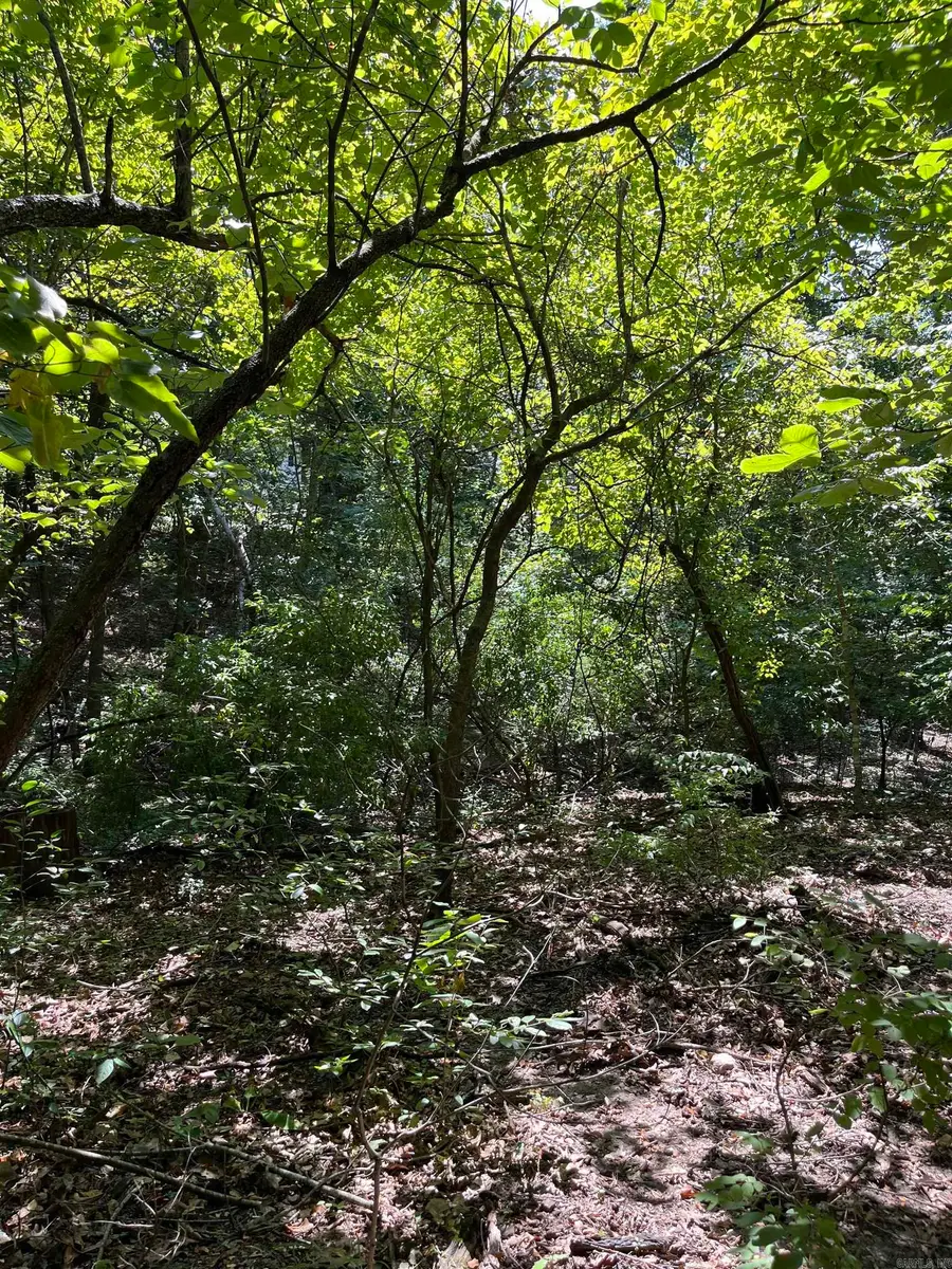 Lt 23,24,25 Sycamore Tree Lane, Lakeview, AR 72653 - Image #2