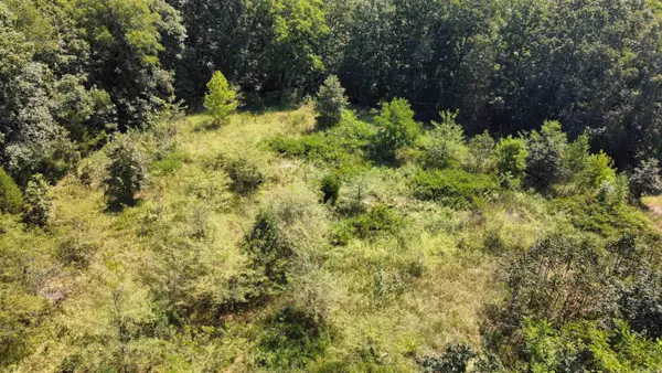 000 Gaylor Rd, Mountain View, AR 72560