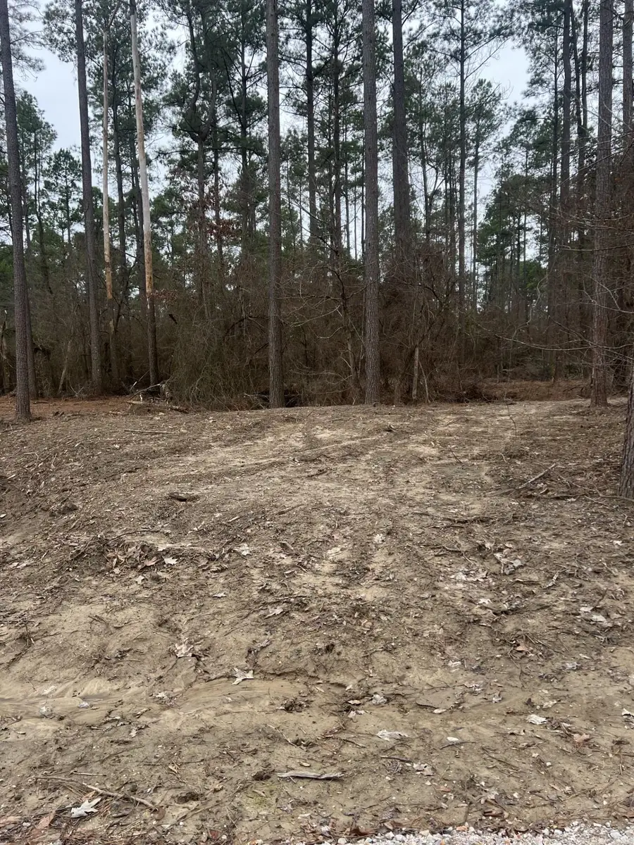 1028 Red Wings Road, Bismarck, AR 71929 - Image #2