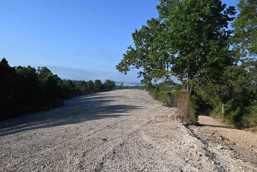 3875 Tomahawk Slab Road, Saint Joe, AR 72675 - Image #2