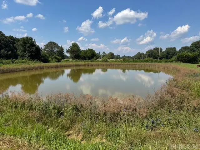 2529 Highway 115, Imboden, AR 72434 - Image #3