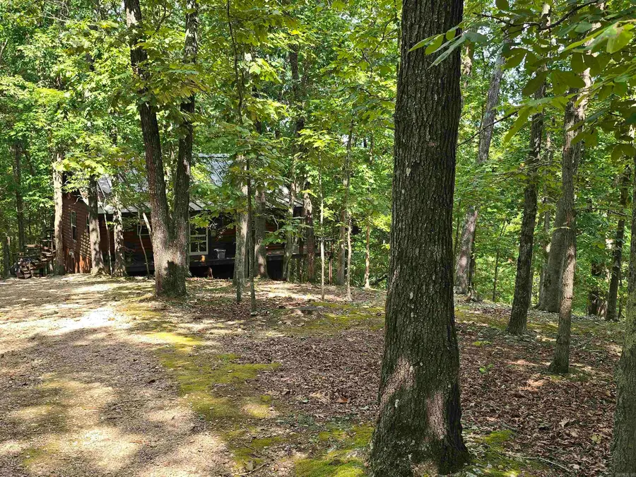 2732 Mitchell Road, Mountain View, AR 72560 - Image #2