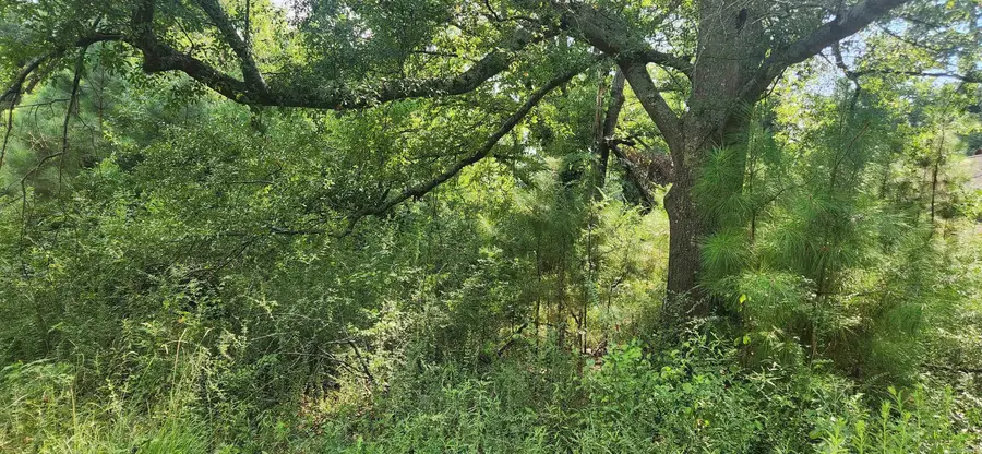 921 Kirkwood Rd Road, Star City, AR 71667 - Image #3