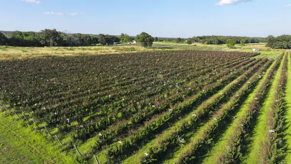 35 Friday Lane, Sherwood, AR 72120