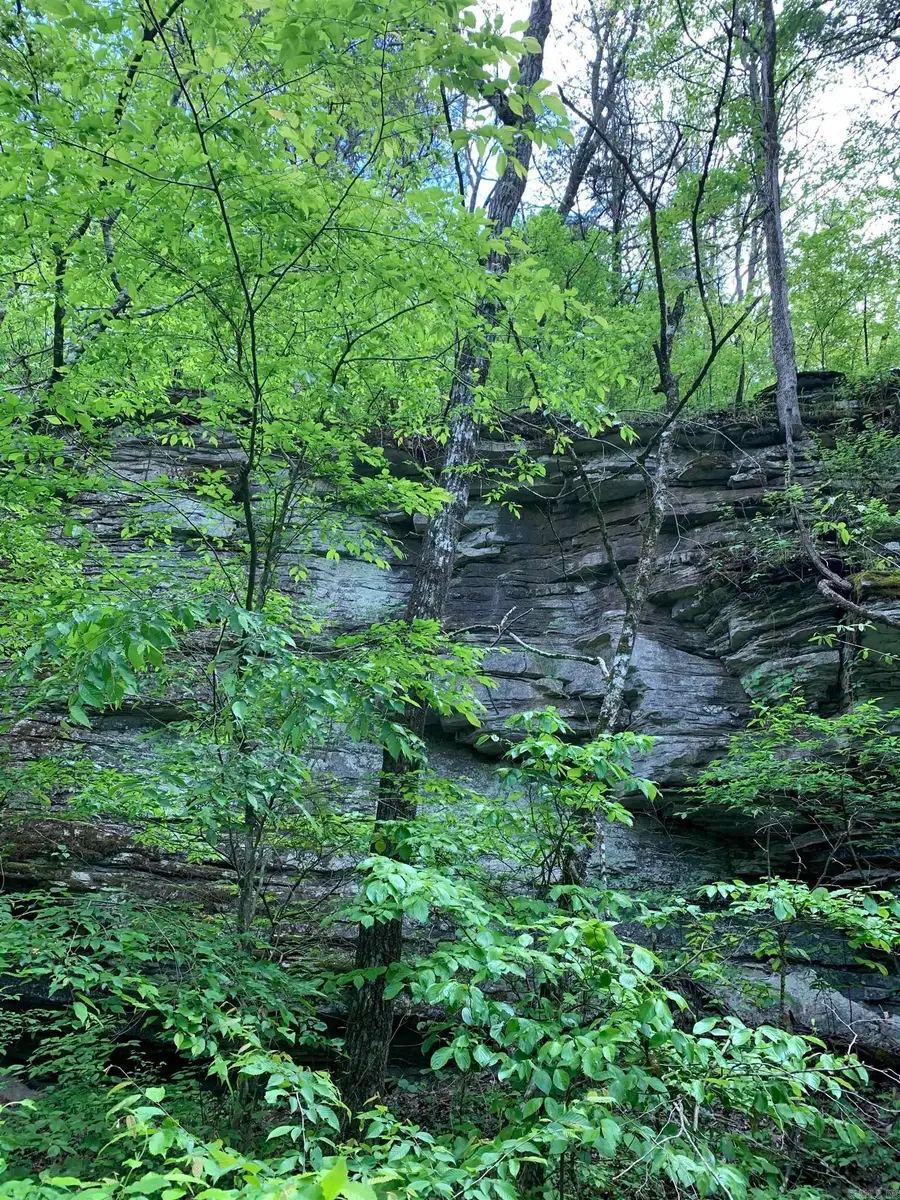 Nc 2922, Marble Falls, AR 72648 - Image #3