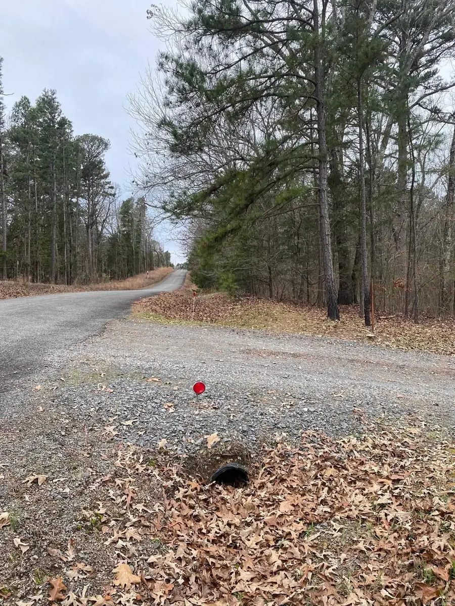 000 Wild Acres Rd, Greers Ferry, AR 72067 - Image #2