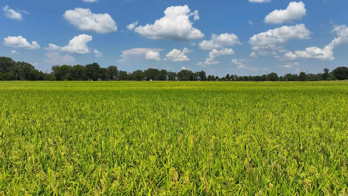 Address Withheld By Seller, Brinkley, AR 72021 - Image #1