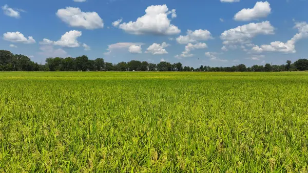 Address Withheld By Seller, Brinkley, AR 72021