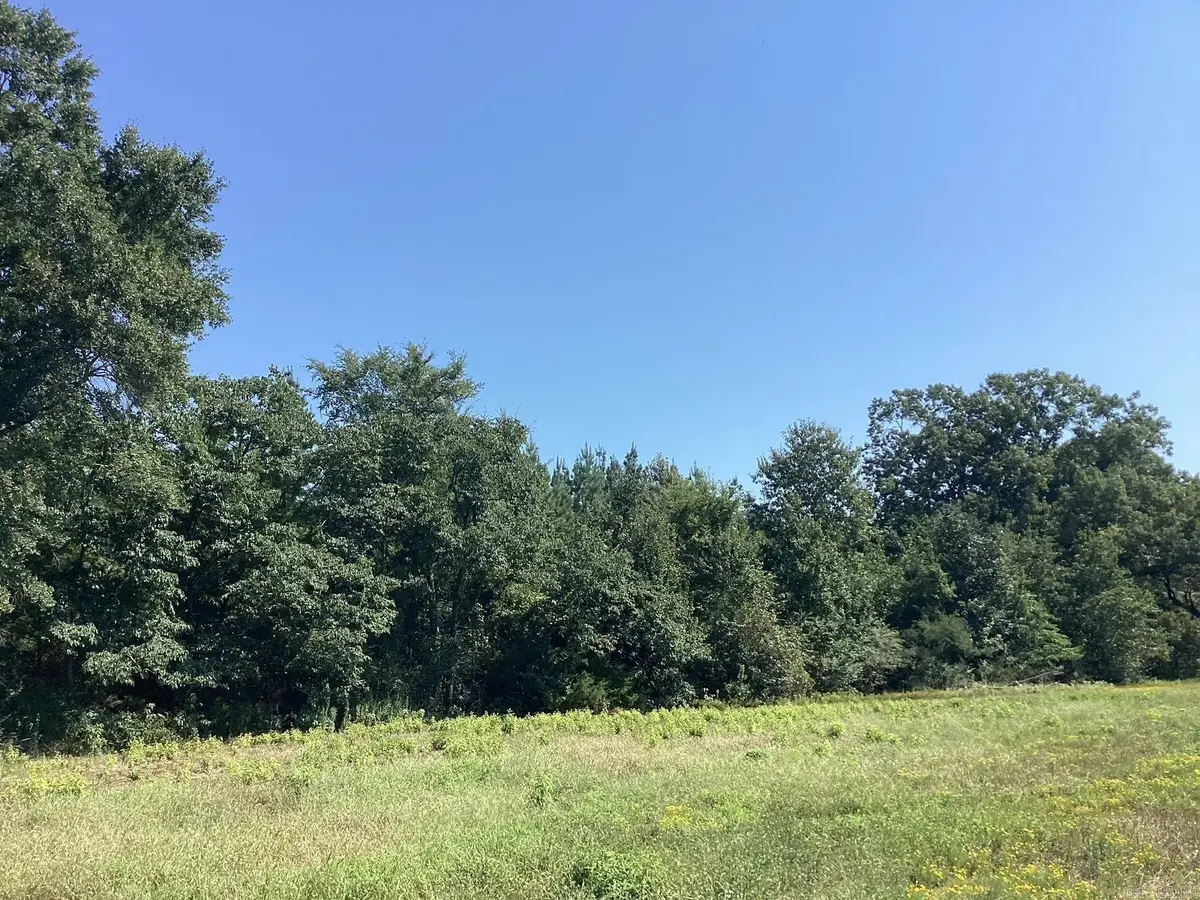 W Ave E. 41 Acres, Hope, AR 71801 - Image #1