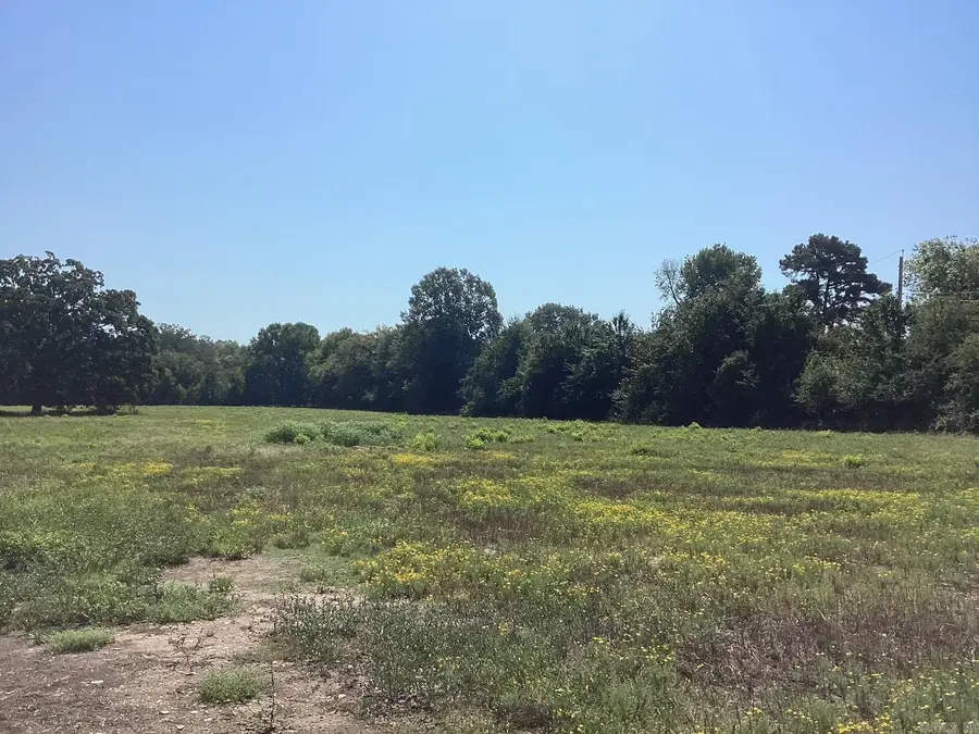 W Ave E. 41 Acres, Hope, AR 71801 - Image #3