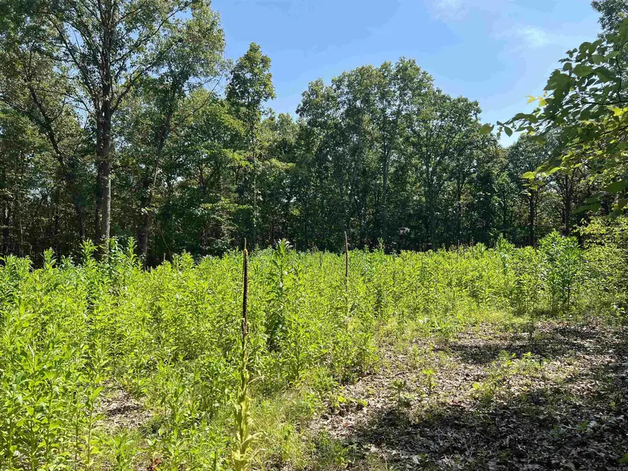 47 Cedar Creek Drive, Harrison, AR 72601 - Image #2