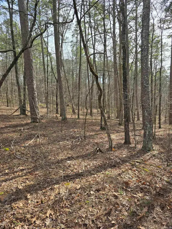 Lot 010 Palencia, Hot Springs Village, AR 71909