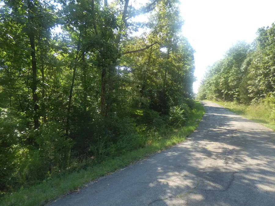 Okfuskee Lane, Cherokee Village, AR 72529 - Image #2