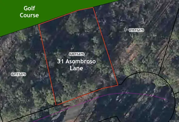 31 Asombroso Lane, Hot Springs Village, AR 71909