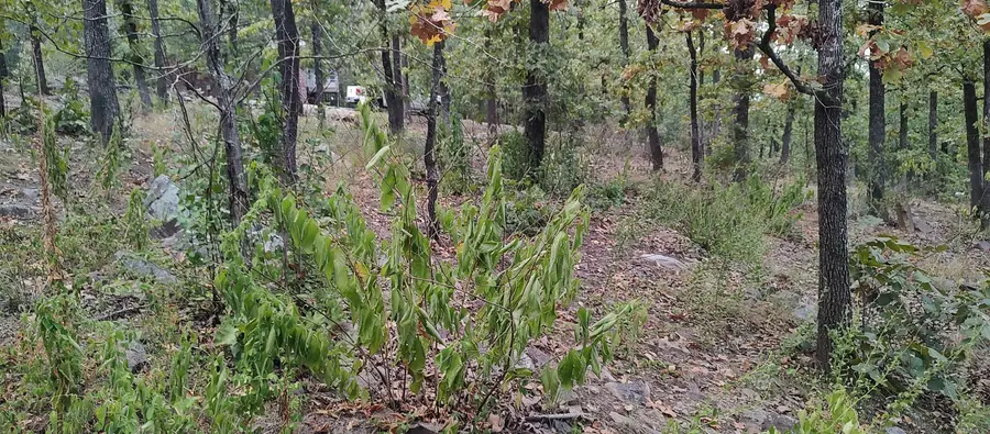 20524 River View Dr., Roland, AR 72135 - Image #2