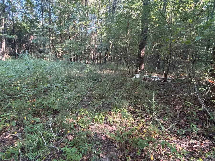 183 J And J Lane, Austin, AR 72007 - Image #2