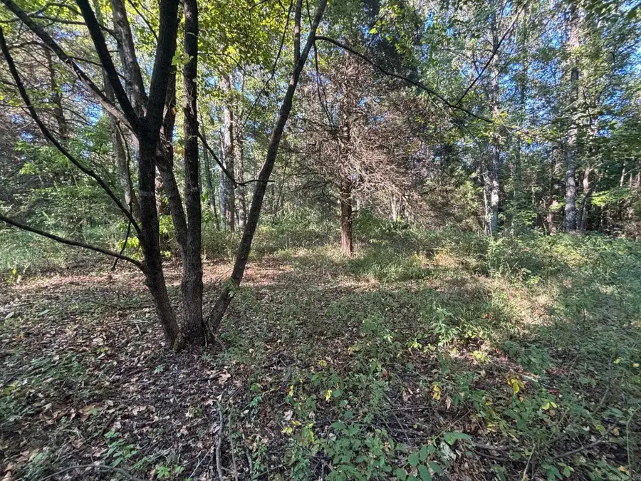 183 J And J Lane, Austin, AR 72007 - Image #3