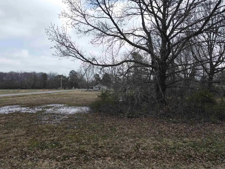 Lot 16 Mckinley Avenue, Carlisle, AR 72024 - #2