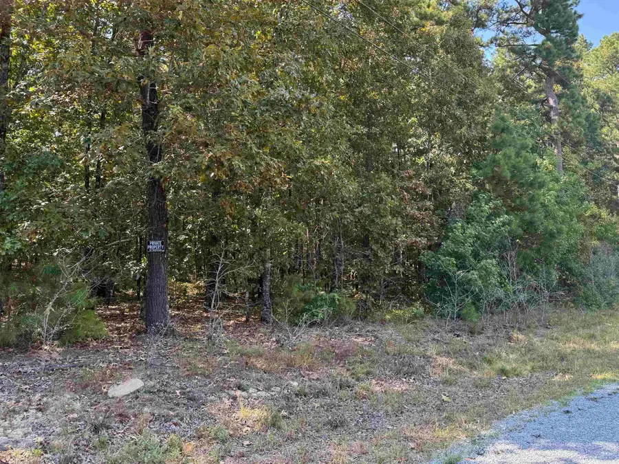 25222 Blue Gill Dr, Roland, AR 72135 - Image #2